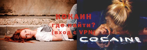 соль ск Каменногорск