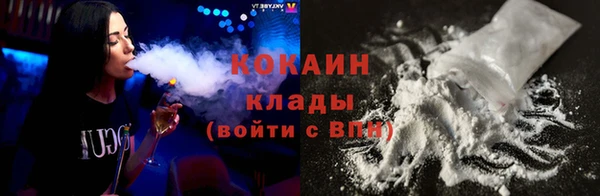 соль ск Каменногорск