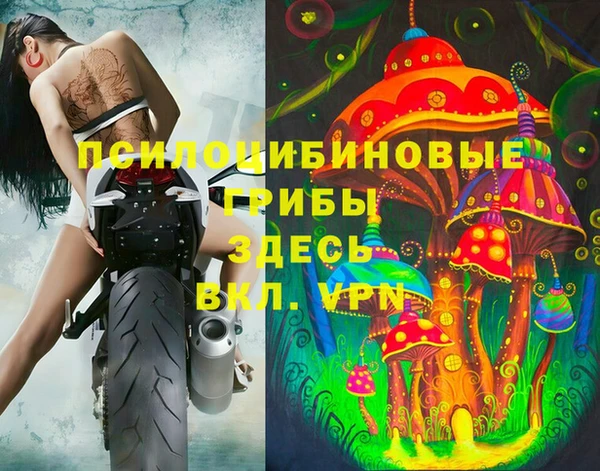 соль ск Каменногорск