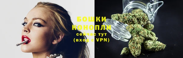 гидропоника Каменка