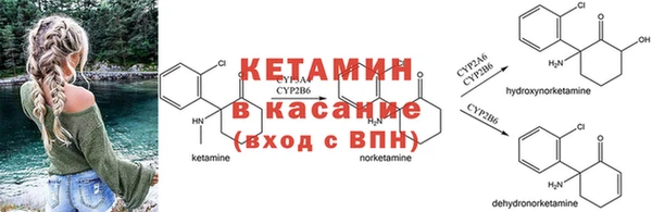 гидропоника Каменка