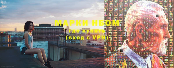 соль ск Каменногорск