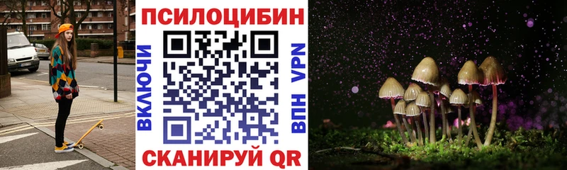 Псилоцибиновые грибы Magic Shrooms  Купить где  Хвалынск 